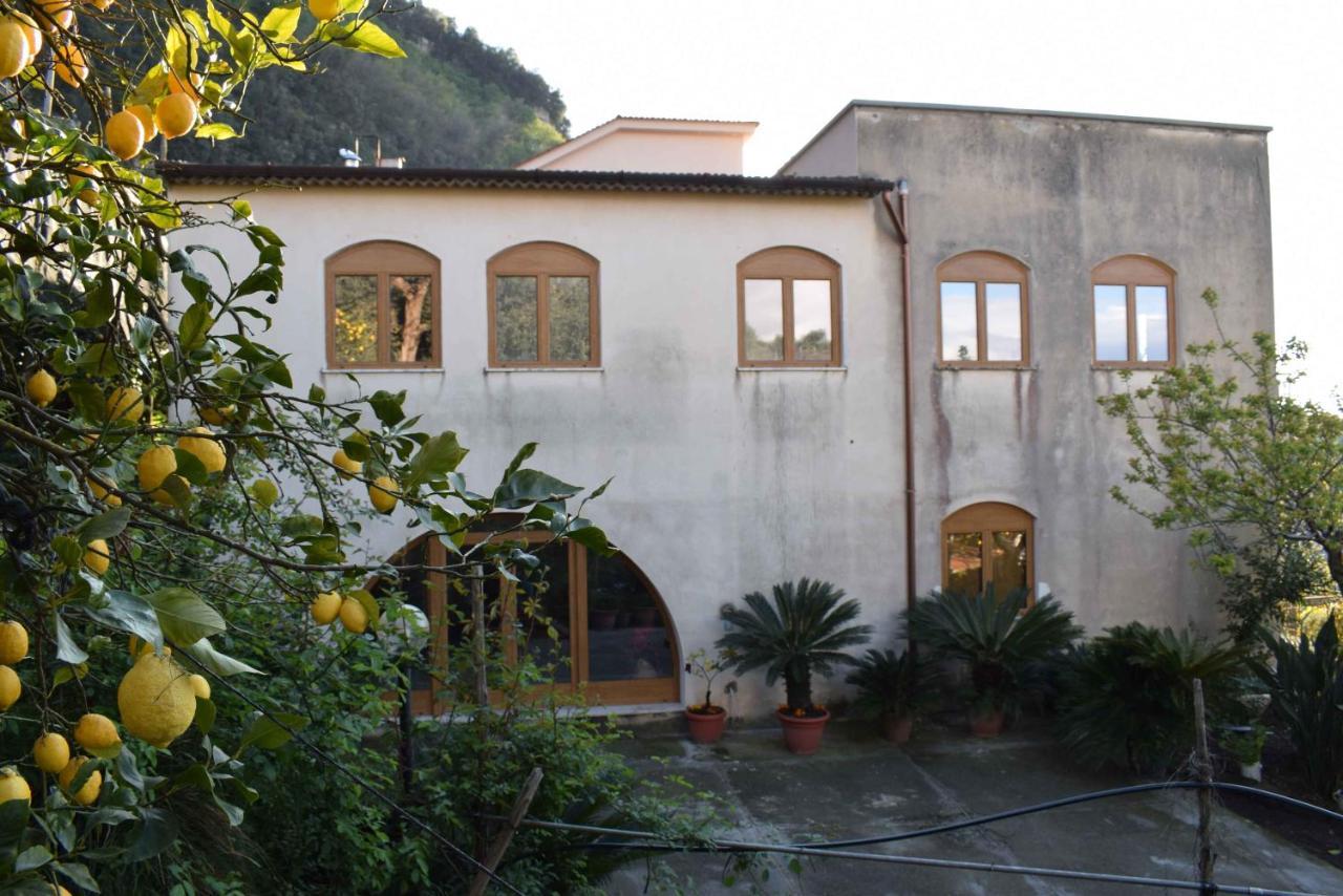Achille Home B&B Sorrento Kültér fotó